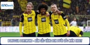 Borussia Dortmund - Bản Sắc Vàng Đen Dưới Góc Nhìn 8XBET