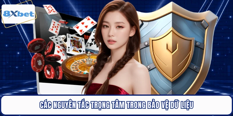 Các nguyên tắc trọng tâm trong bảo vệ dữ liệu 