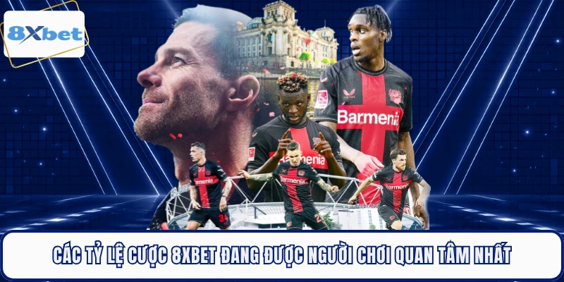 Các Tỷ Lệ Cược 8XBET Đang Được Người Chơi Quan Tâm Nhất