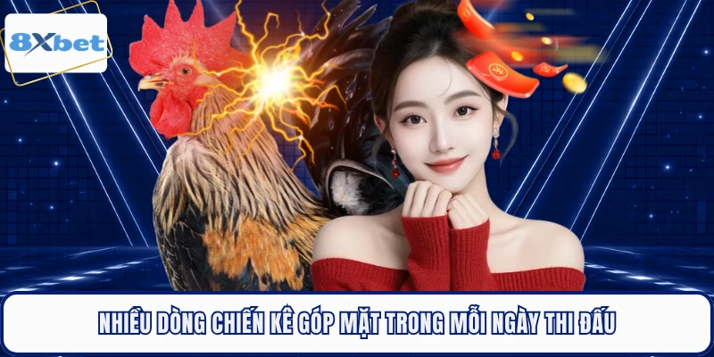 Nhiều dòng chiến kê góp mặt trong mỗi ngày thi đấu