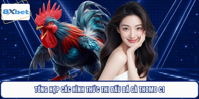 Tổng hợp các hình thức thi đấu đá gà Thomo C1