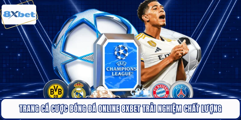 Trang Cá Cược Bóng Đá Online 8XBET Trải Nghiệm Chất Lượng 
